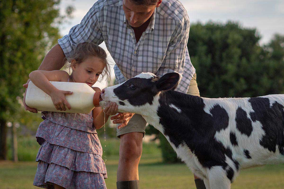 Γενικό image της ιστοσελίδας της Alpiland με κοριτσάκι που δίνει γάλα σε νεαρό μοσχαράκι.
