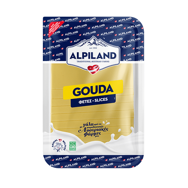 Gouda Τυρί